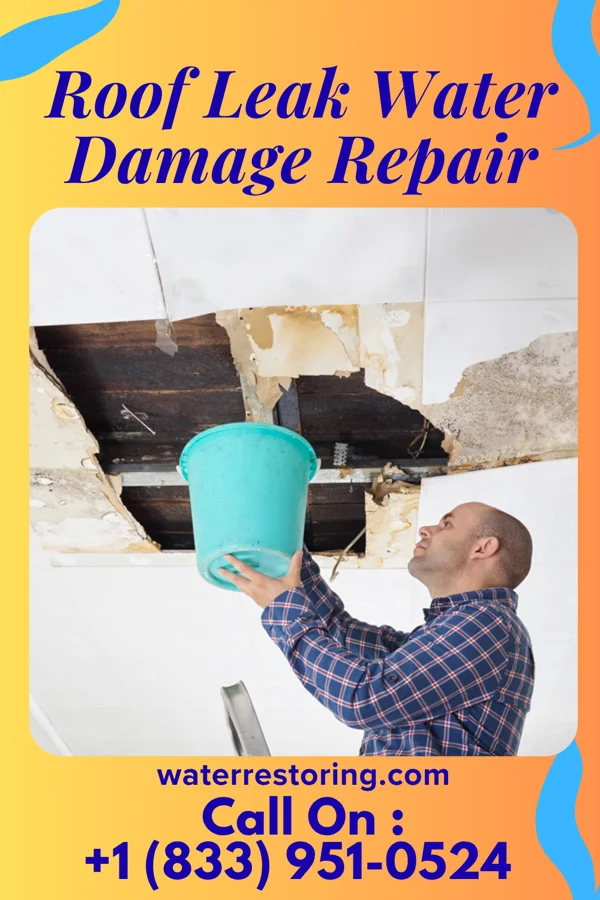 Roof Leak Water Damage Repair in Riverton, IA