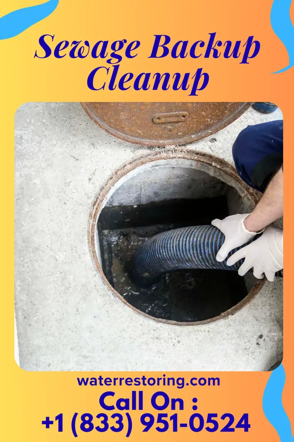 Sewage Backup Cleanup in Riverton, IA