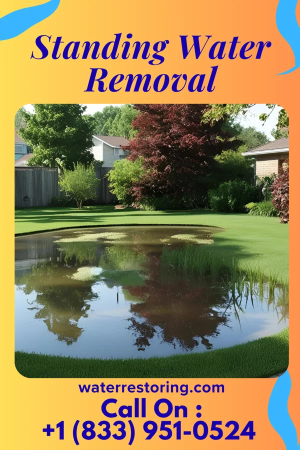 Standing Water Removal in Riverton, IA